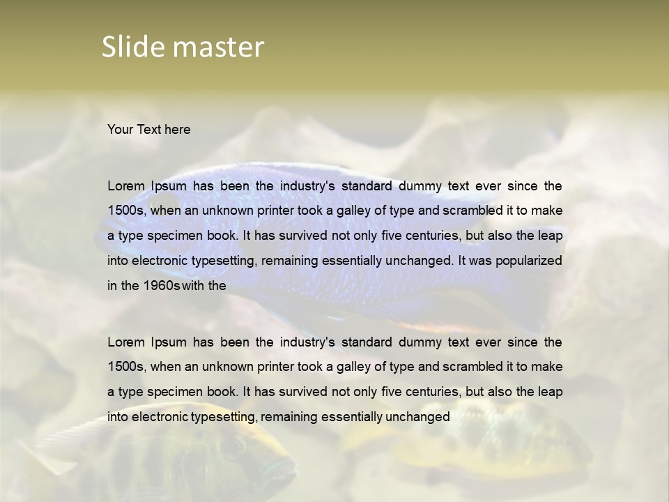 Colorful Tropical Fish Of The Cichlid Family PowerPoint Template