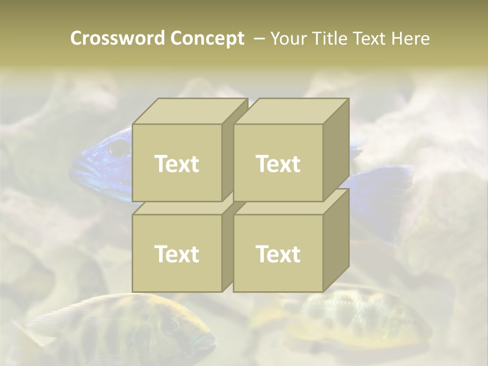 Colorful Tropical Fish Of The Cichlid Family PowerPoint Template