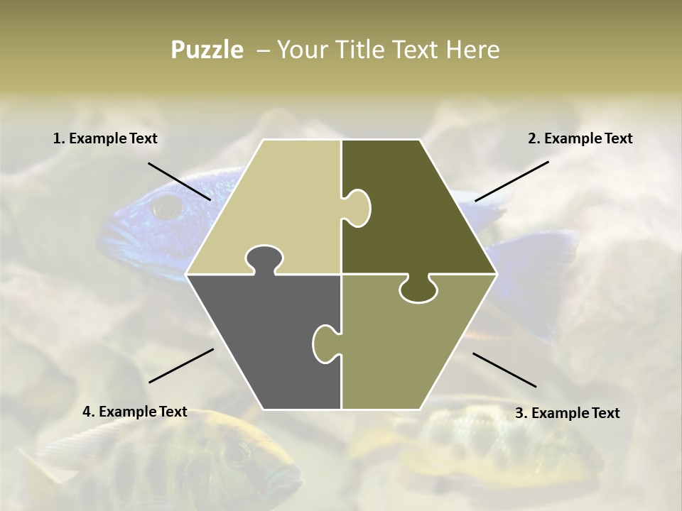 Colorful Tropical Fish Of The Cichlid Family PowerPoint Template