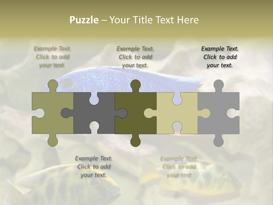 Colorful Tropical Fish Of The Cichlid Family PowerPoint Template