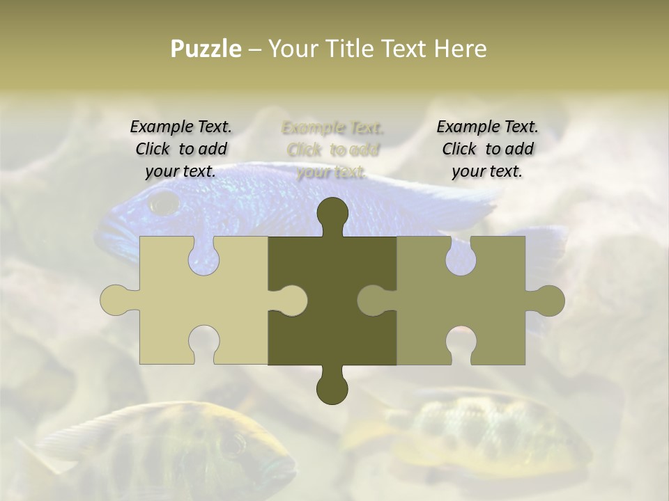 Colorful Tropical Fish Of The Cichlid Family PowerPoint Template