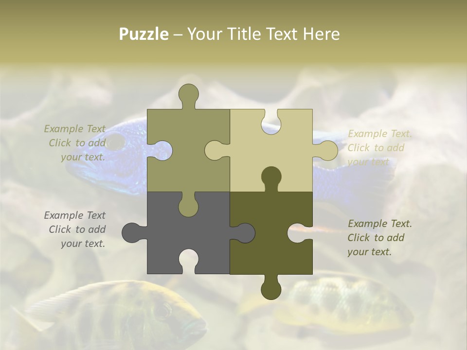 Colorful Tropical Fish Of The Cichlid Family PowerPoint Template