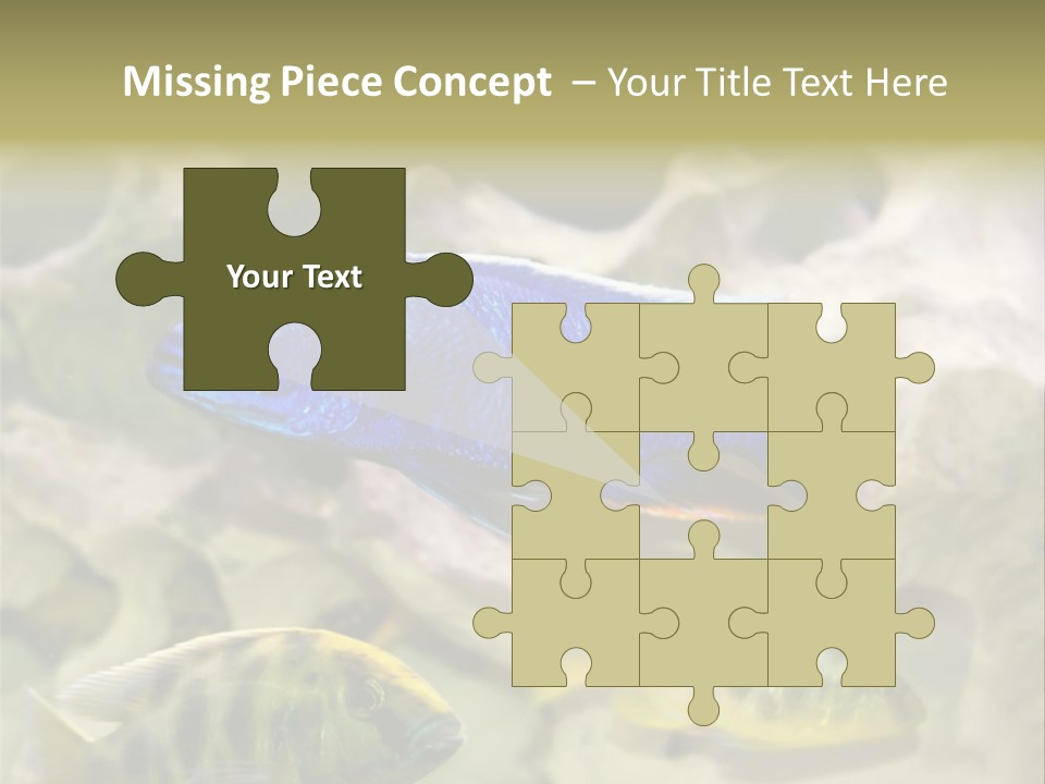 Colorful Tropical Fish Of The Cichlid Family PowerPoint Template