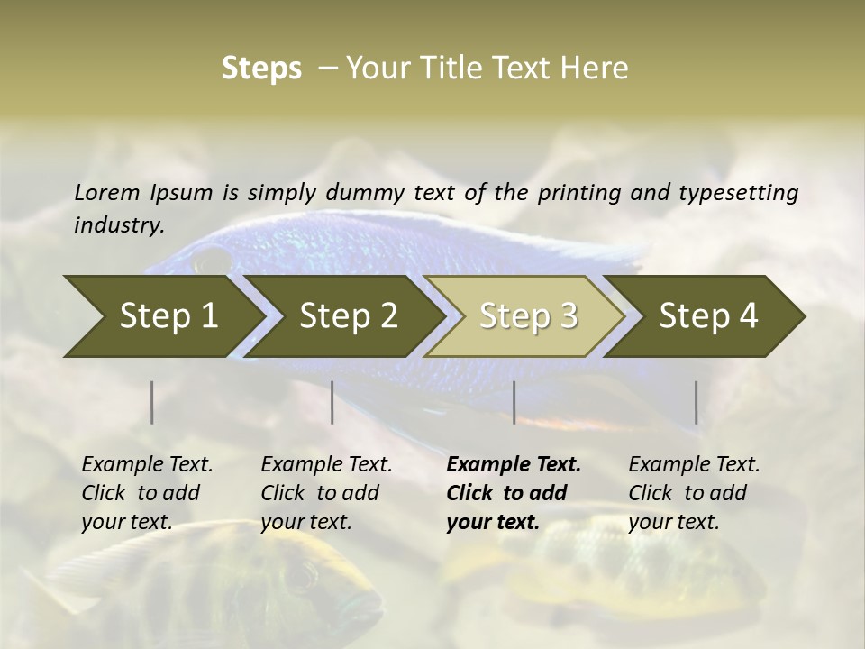 Colorful Tropical Fish Of The Cichlid Family PowerPoint Template