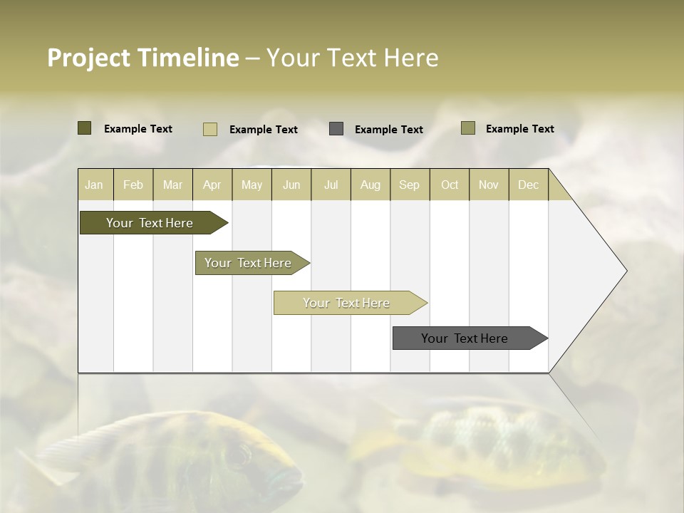 Colorful Tropical Fish Of The Cichlid Family PowerPoint Template
