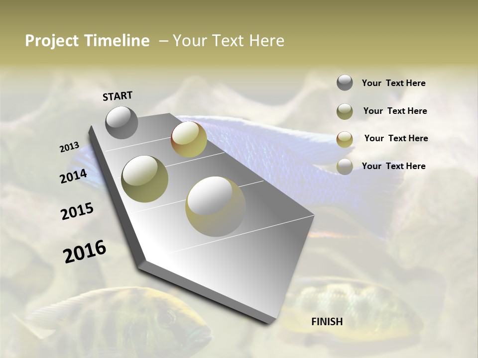 Colorful Tropical Fish Of The Cichlid Family PowerPoint Template