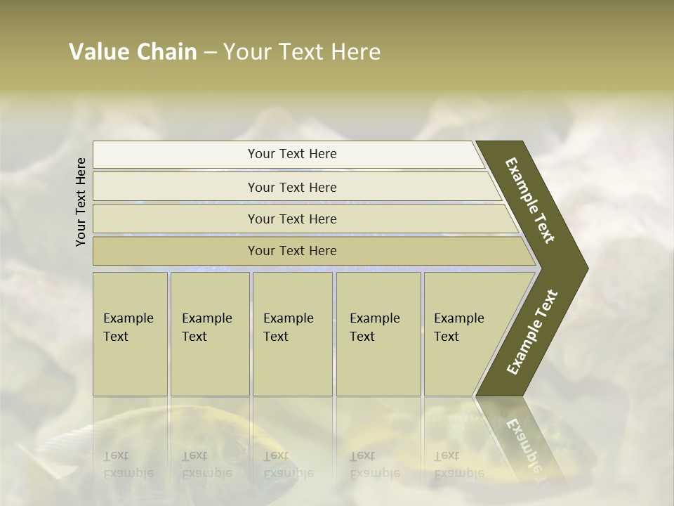 Colorful Tropical Fish Of The Cichlid Family PowerPoint Template