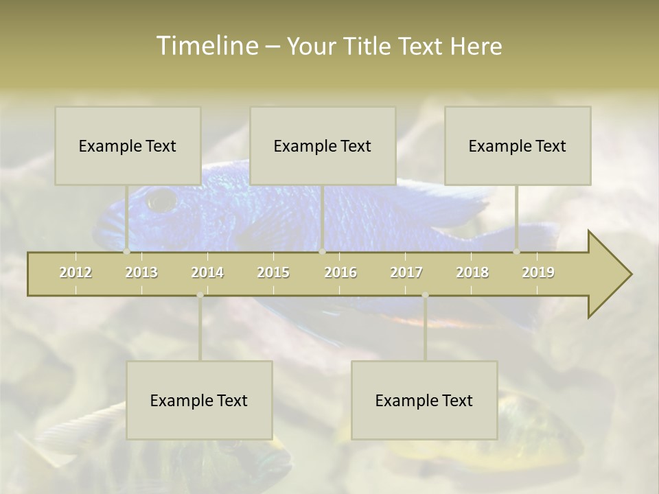 Colorful Tropical Fish Of The Cichlid Family PowerPoint Template