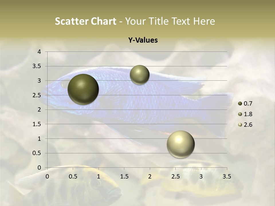 Colorful Tropical Fish Of The Cichlid Family PowerPoint Template