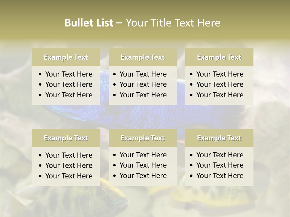 Colorful Tropical Fish Of The Cichlid Family PowerPoint Template