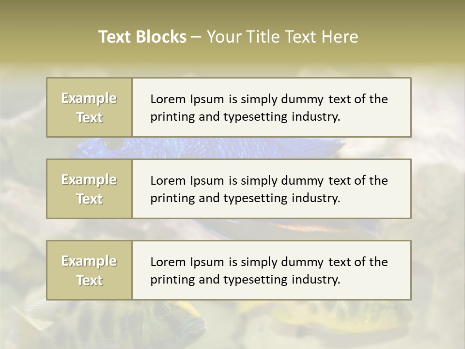 Colorful Tropical Fish Of The Cichlid Family PowerPoint Template