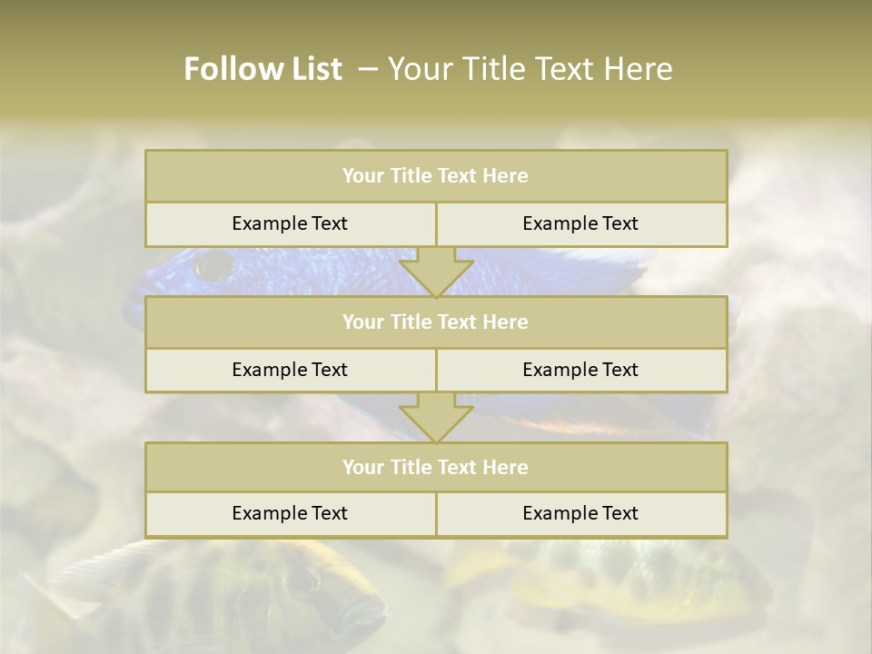 Colorful Tropical Fish Of The Cichlid Family PowerPoint Template