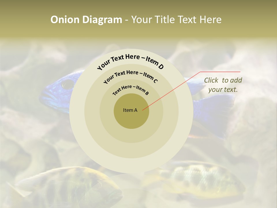 Colorful Tropical Fish Of The Cichlid Family PowerPoint Template