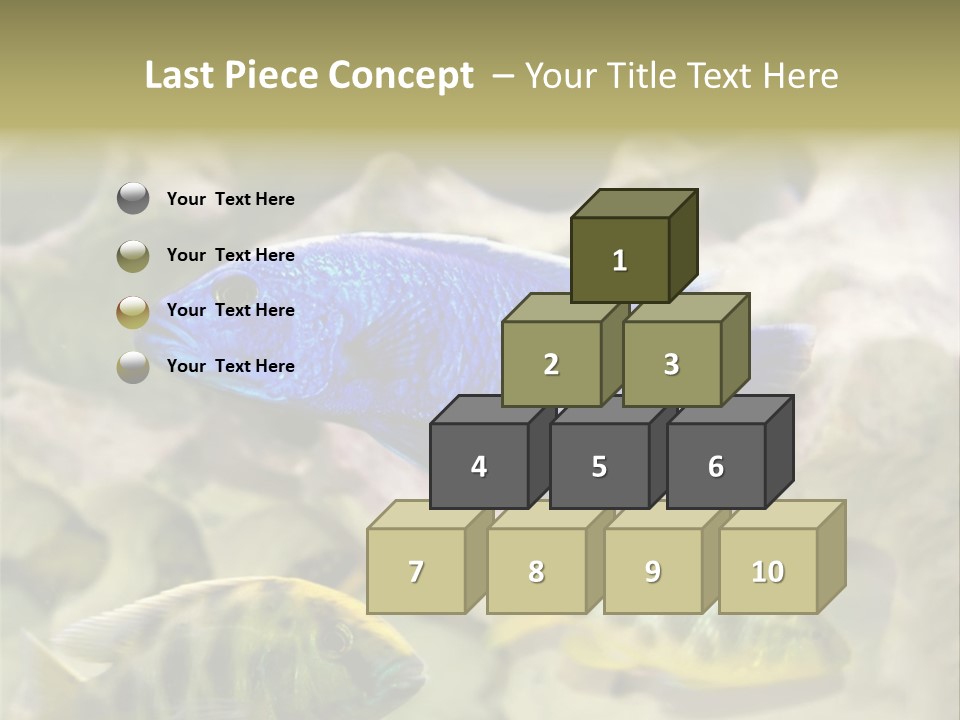 Colorful Tropical Fish Of The Cichlid Family PowerPoint Template