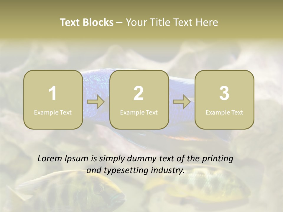 Colorful Tropical Fish Of The Cichlid Family PowerPoint Template