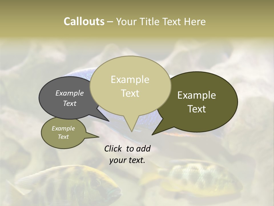 Colorful Tropical Fish Of The Cichlid Family PowerPoint Template