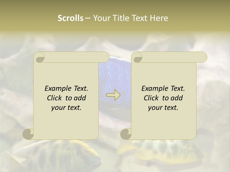 Colorful Tropical Fish Of The Cichlid Family PowerPoint Template