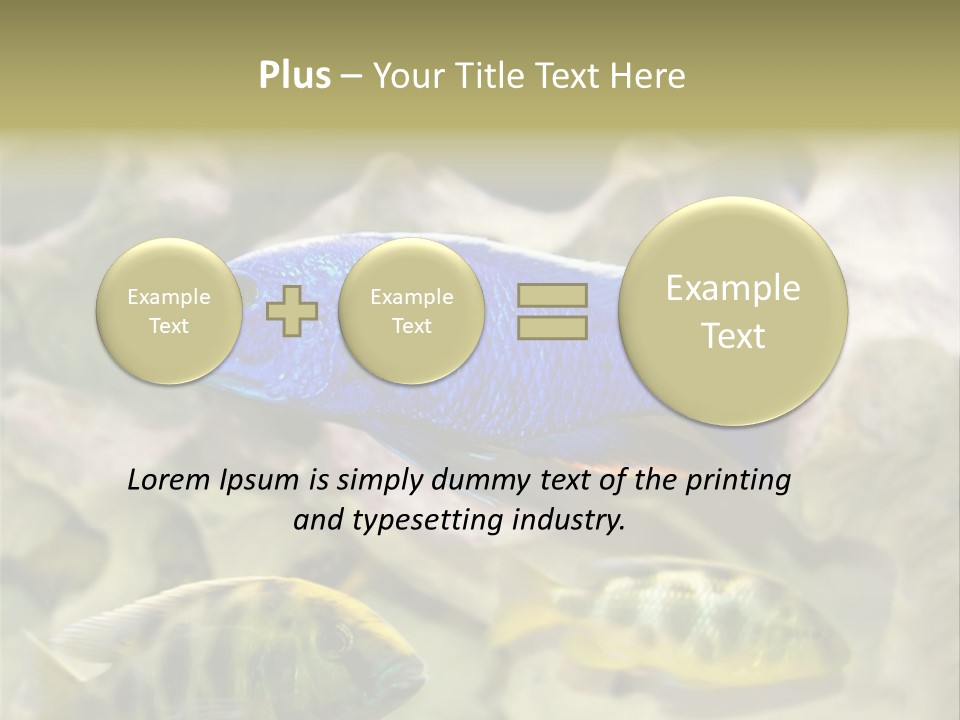 Colorful Tropical Fish Of The Cichlid Family PowerPoint Template