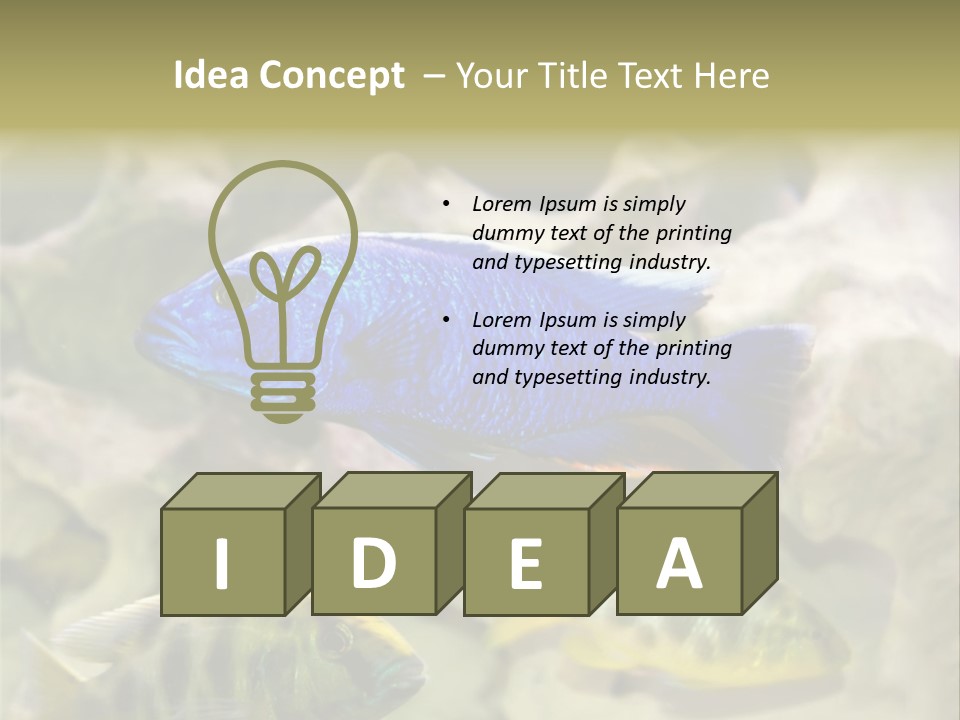 Colorful Tropical Fish Of The Cichlid Family PowerPoint Template