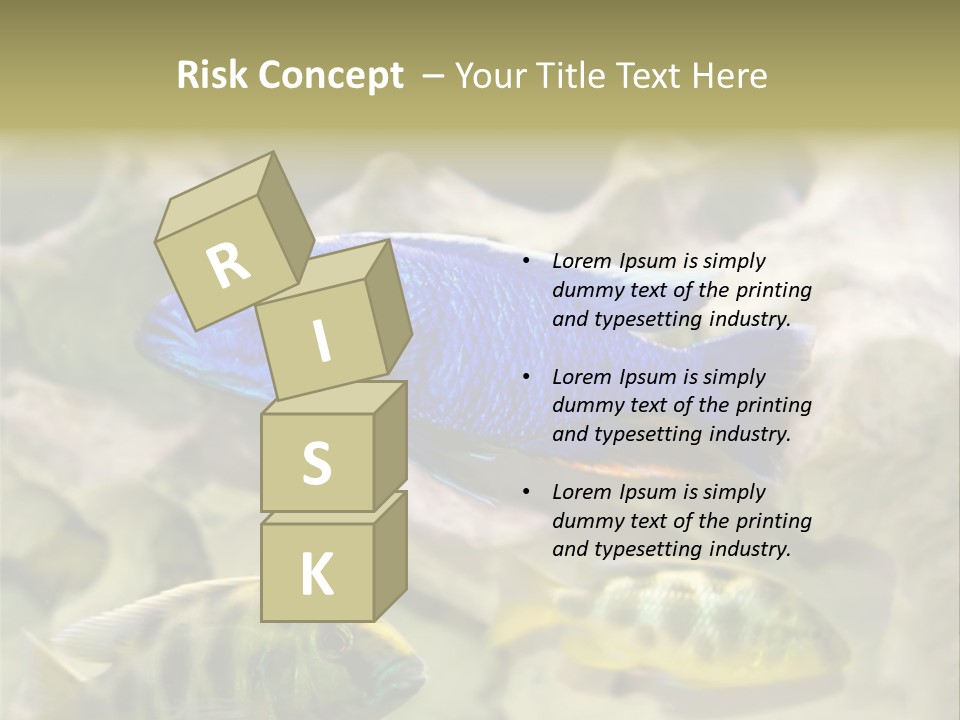 Colorful Tropical Fish Of The Cichlid Family PowerPoint Template