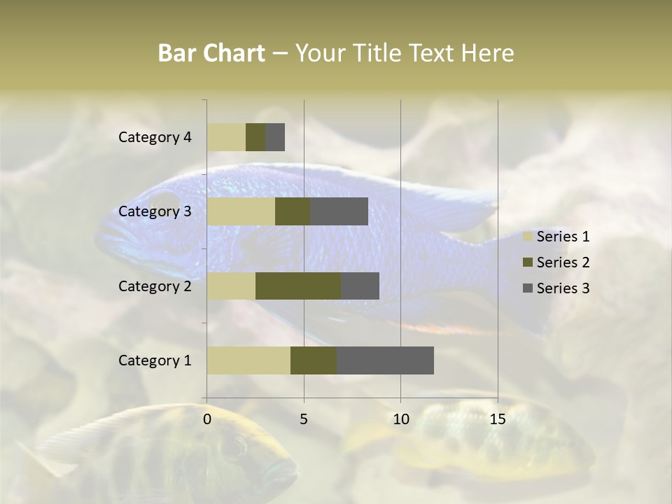 Colorful Tropical Fish Of The Cichlid Family PowerPoint Template