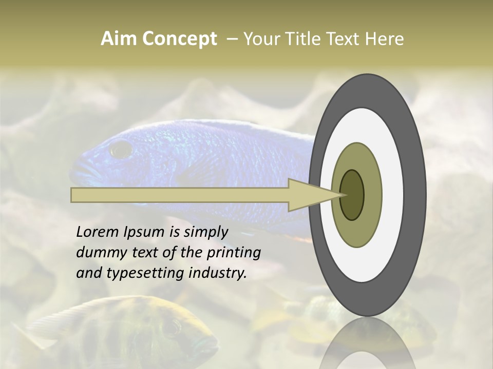 Colorful Tropical Fish Of The Cichlid Family PowerPoint Template