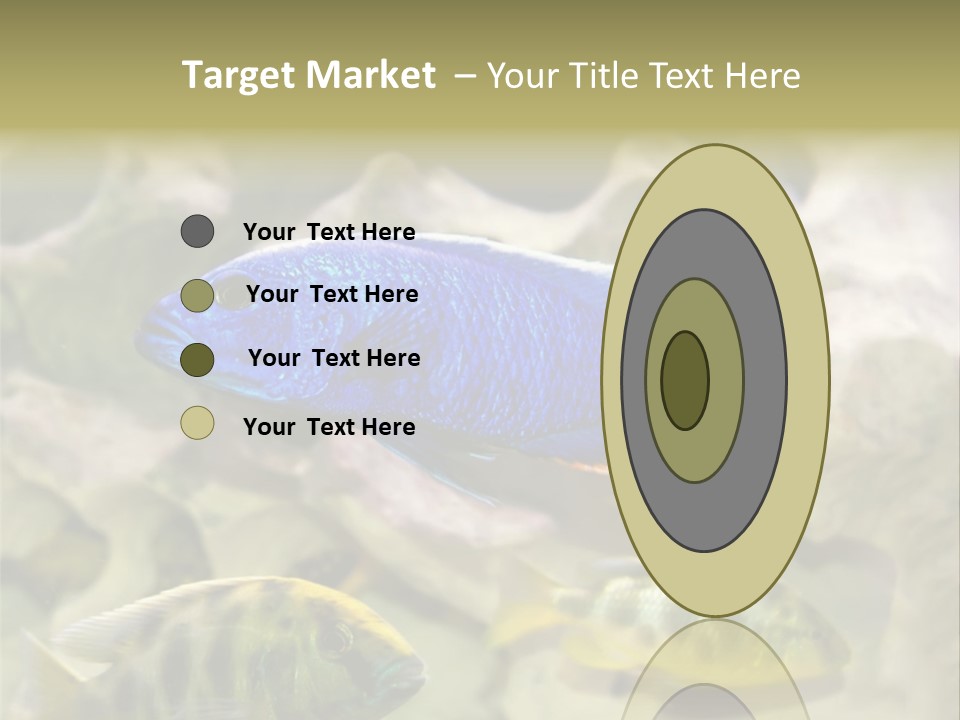 Colorful Tropical Fish Of The Cichlid Family PowerPoint Template