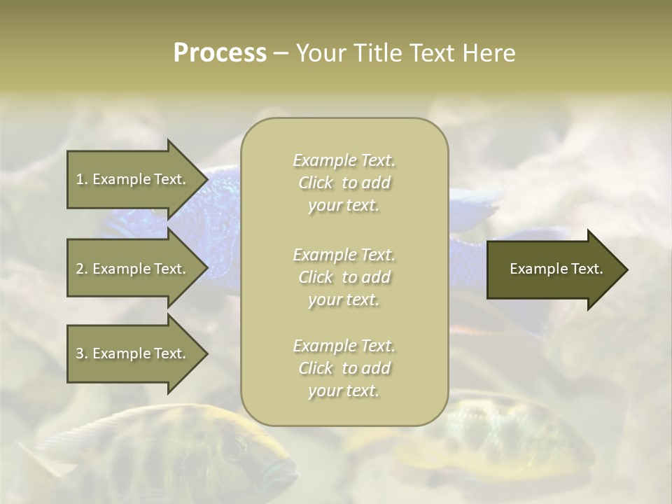 Colorful Tropical Fish Of The Cichlid Family PowerPoint Template