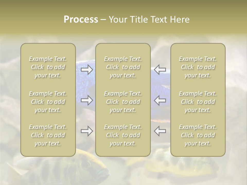 Colorful Tropical Fish Of The Cichlid Family PowerPoint Template