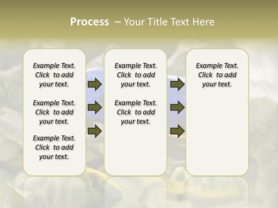 Colorful Tropical Fish Of The Cichlid Family PowerPoint Template