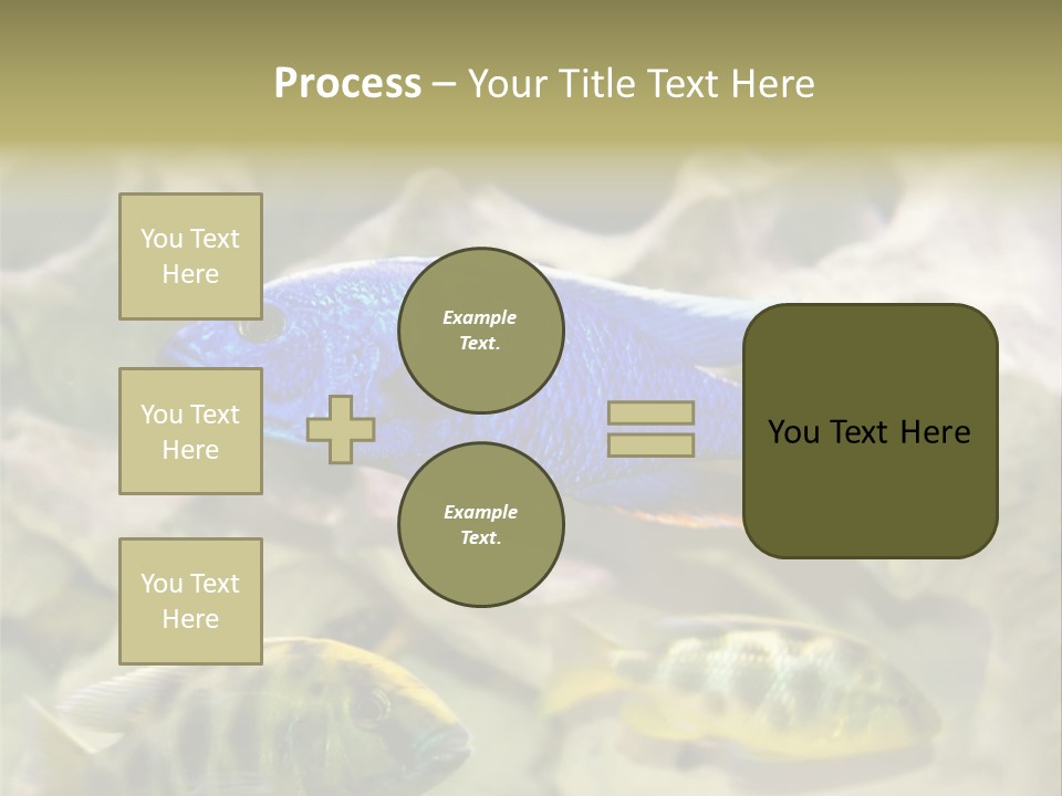 Colorful Tropical Fish Of The Cichlid Family PowerPoint Template