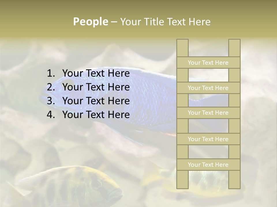 Colorful Tropical Fish Of The Cichlid Family PowerPoint Template