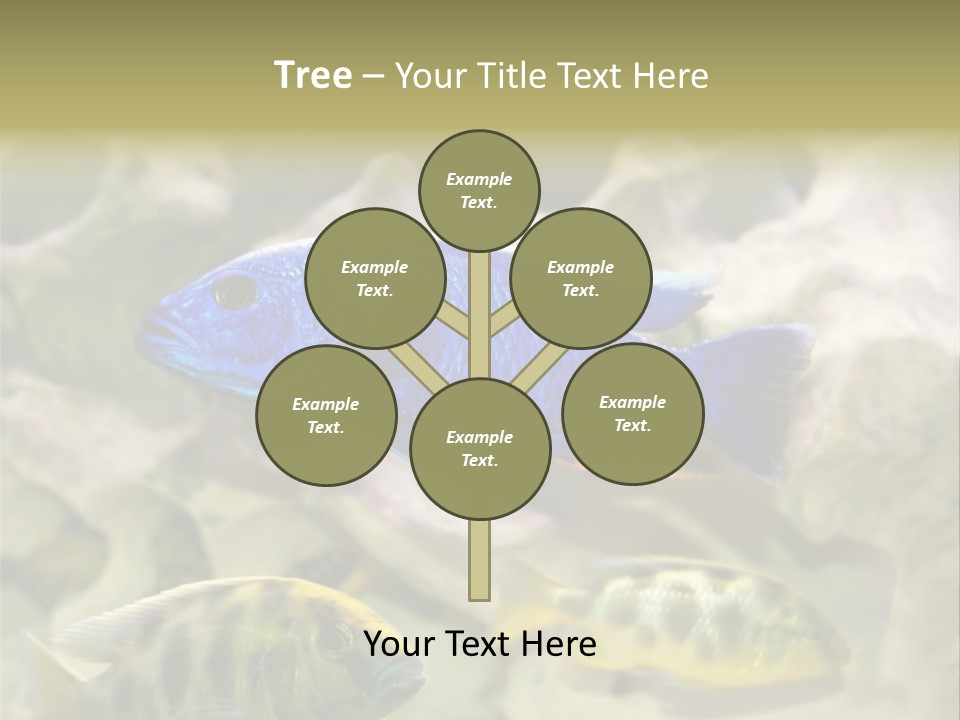 Colorful Tropical Fish Of The Cichlid Family PowerPoint Template