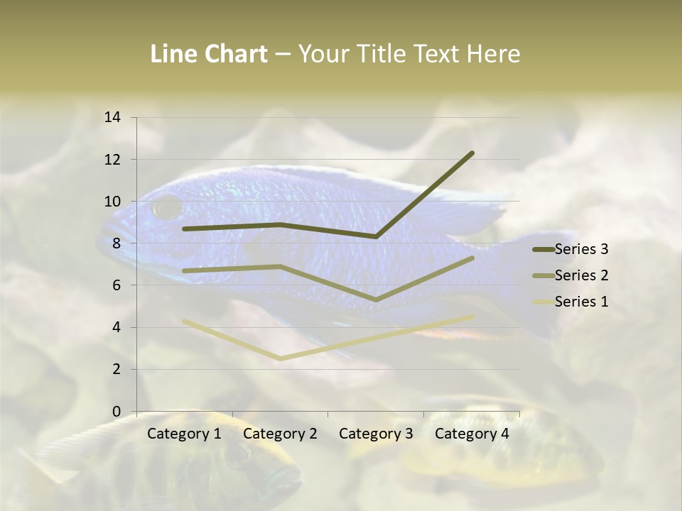 Colorful Tropical Fish Of The Cichlid Family PowerPoint Template