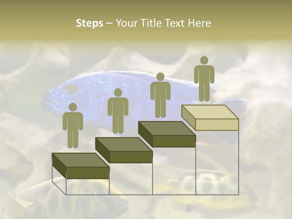 Colorful Tropical Fish Of The Cichlid Family PowerPoint Template