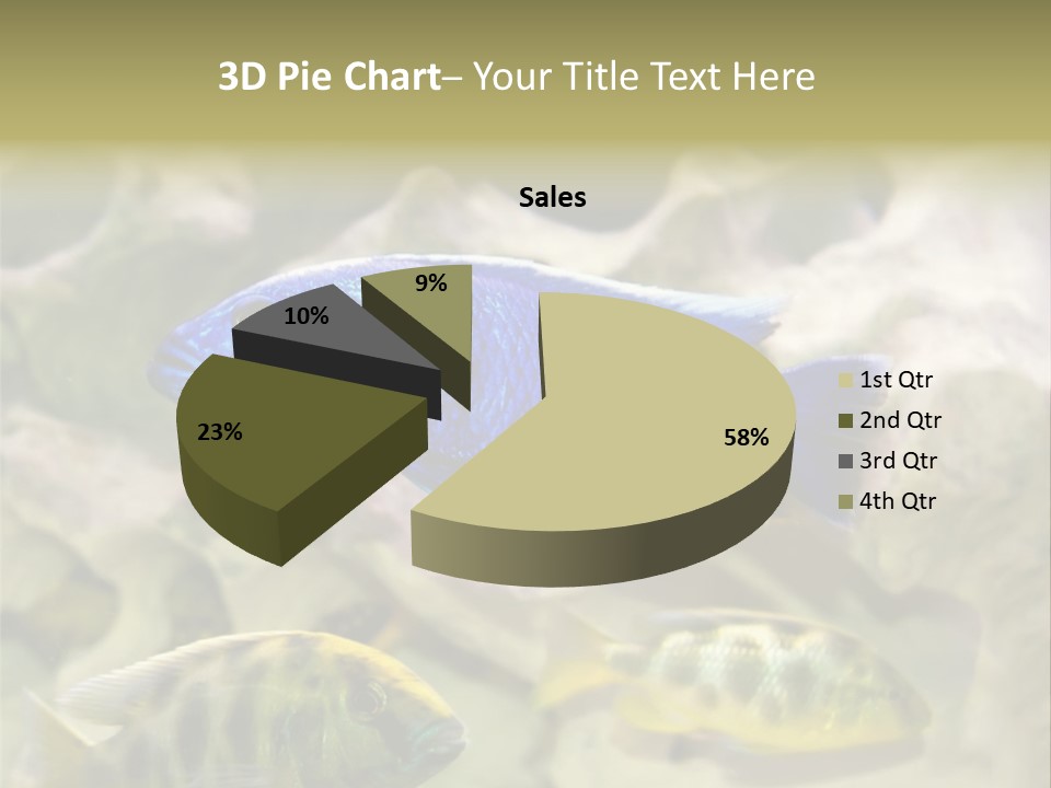 Colorful Tropical Fish Of The Cichlid Family PowerPoint Template