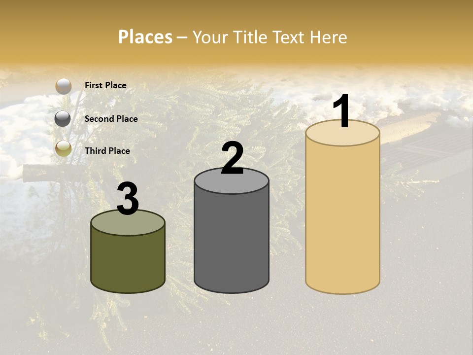 A Small Tree Laying On Top Of A Snow Covered Ground PowerPoint Template