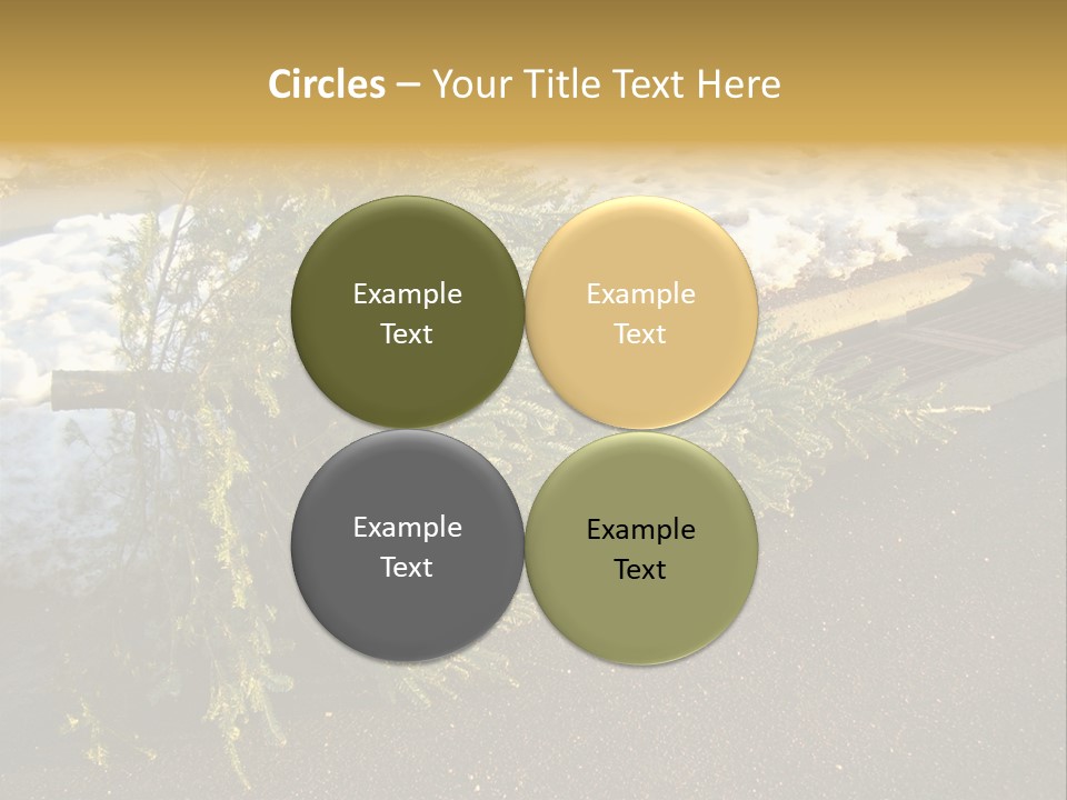 A Small Tree Laying On Top Of A Snow Covered Ground PowerPoint Template