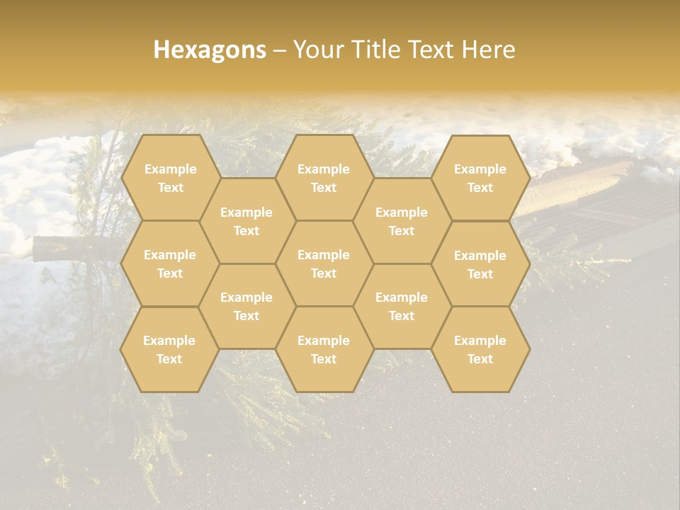 A Small Tree Laying On Top Of A Snow Covered Ground PowerPoint Template