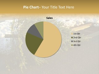 A Small Tree Laying On Top Of A Snow Covered Ground PowerPoint Template