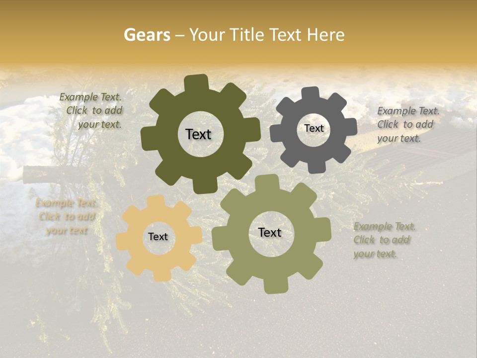 A Small Tree Laying On Top Of A Snow Covered Ground PowerPoint Template
