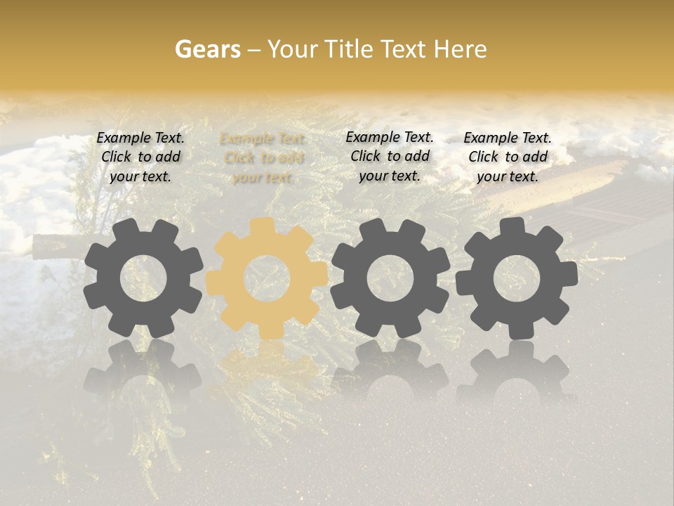 A Small Tree Laying On Top Of A Snow Covered Ground PowerPoint Template