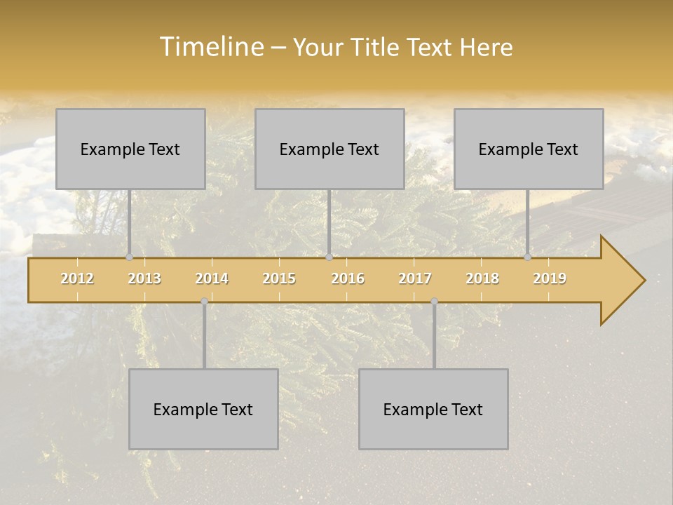 A Small Tree Laying On Top Of A Snow Covered Ground PowerPoint Template