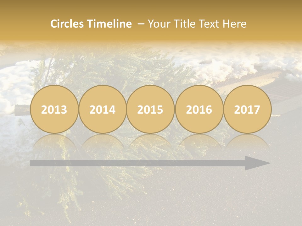 A Small Tree Laying On Top Of A Snow Covered Ground PowerPoint Template