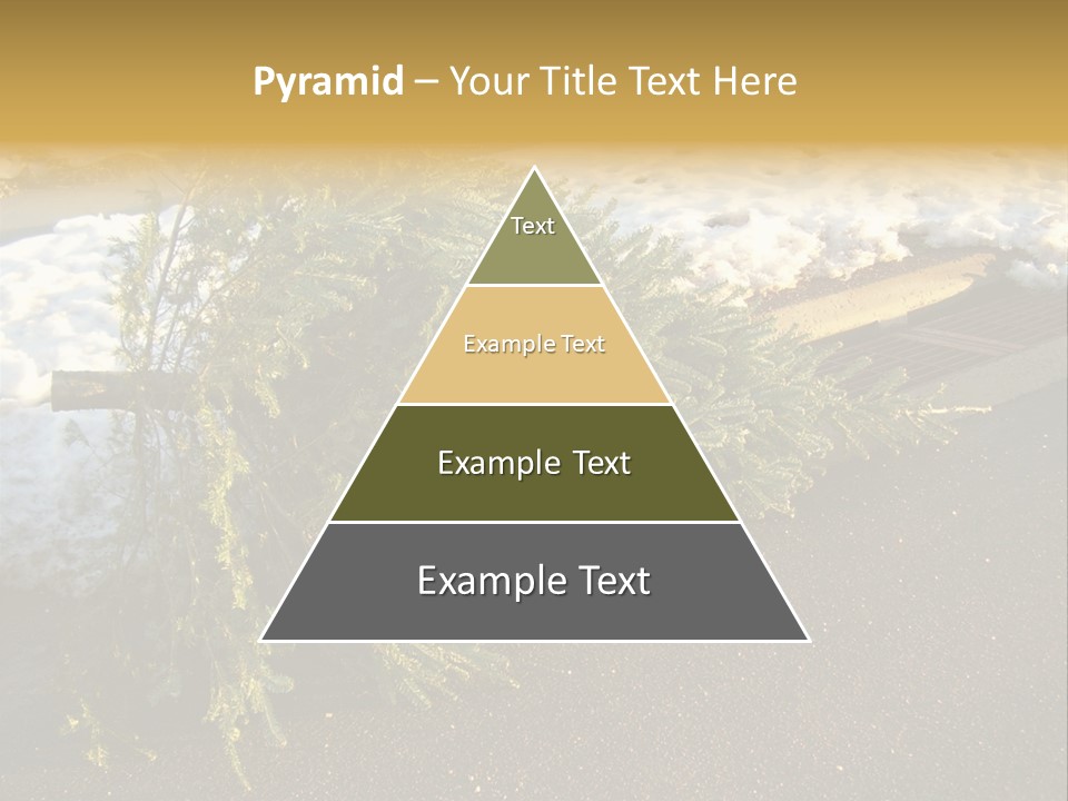 A Small Tree Laying On Top Of A Snow Covered Ground PowerPoint Template