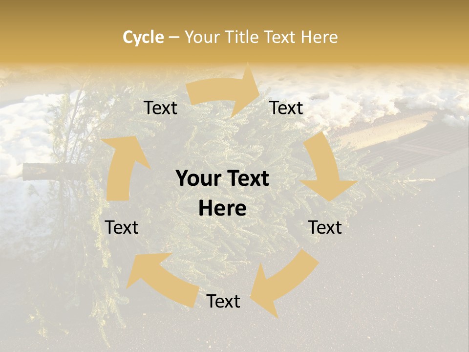 A Small Tree Laying On Top Of A Snow Covered Ground PowerPoint Template