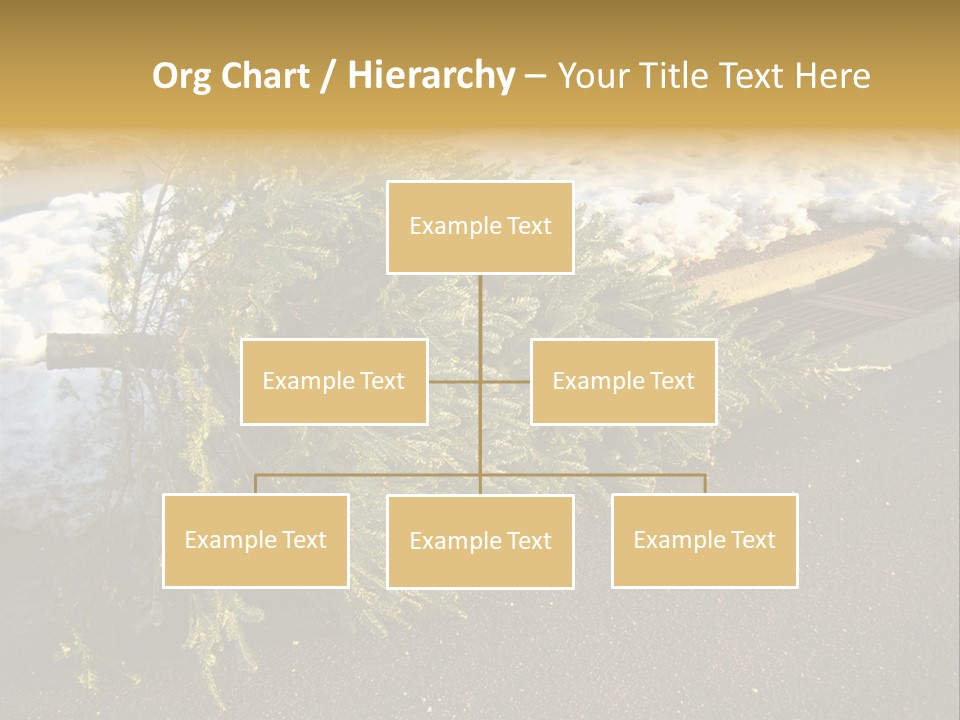 A Small Tree Laying On Top Of A Snow Covered Ground PowerPoint Template