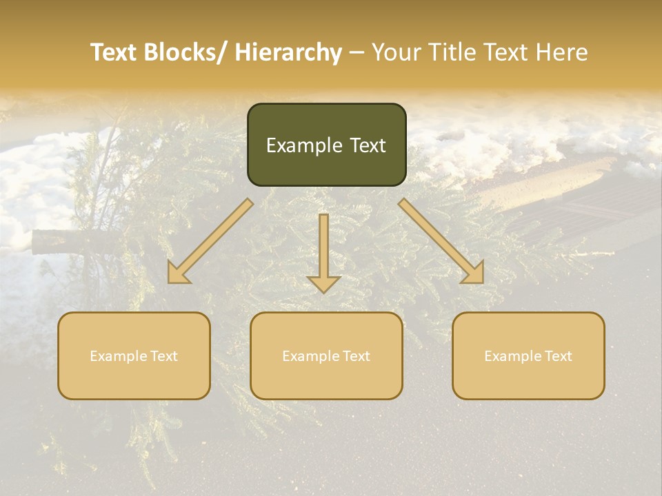 A Small Tree Laying On Top Of A Snow Covered Ground PowerPoint Template