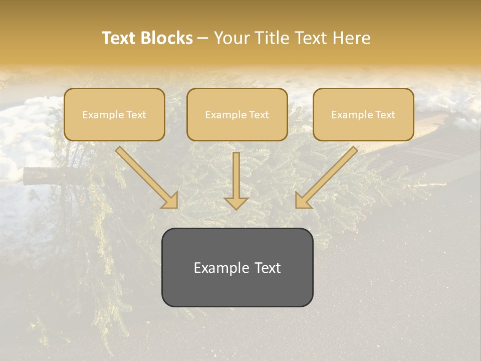 A Small Tree Laying On Top Of A Snow Covered Ground PowerPoint Template