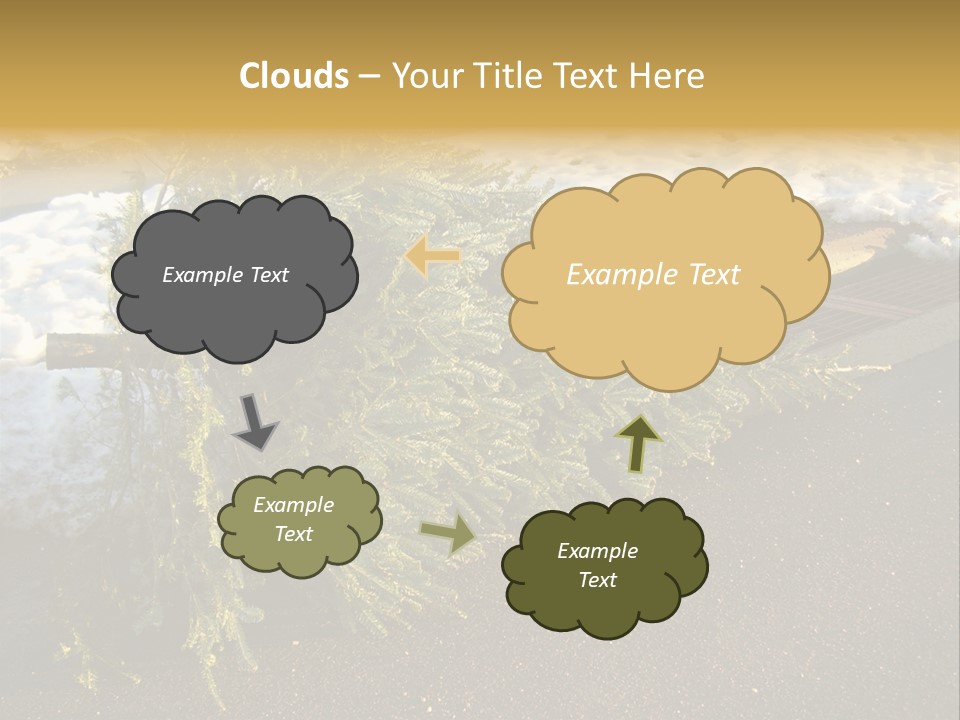 A Small Tree Laying On Top Of A Snow Covered Ground PowerPoint Template